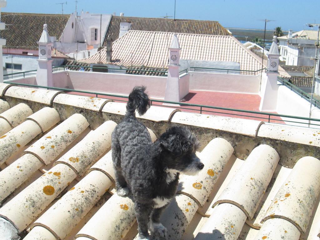 Guest House Capitao Mor Distrikt Distrikt Faro Exterior foto